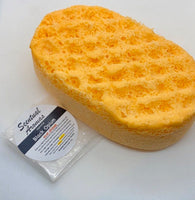 Soap Sponges